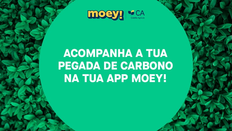 Acompanha a tua Pegada de Carbono na app moey!